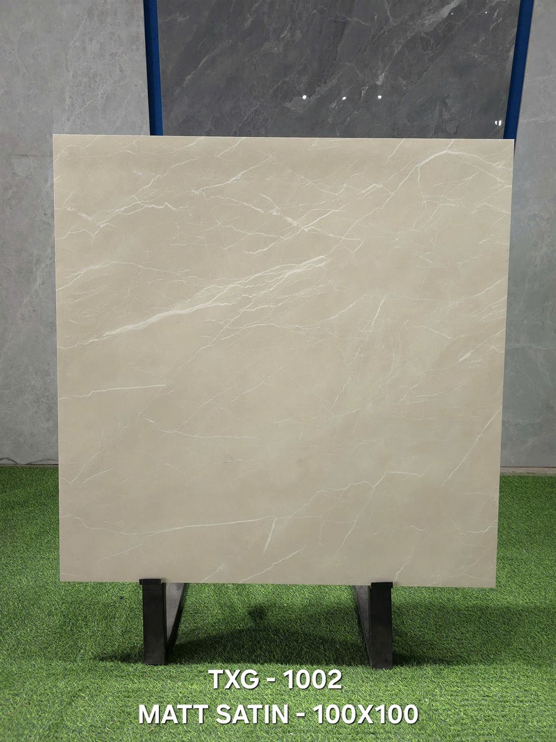 Gạch Ấn Độ TXG 1002 100x100