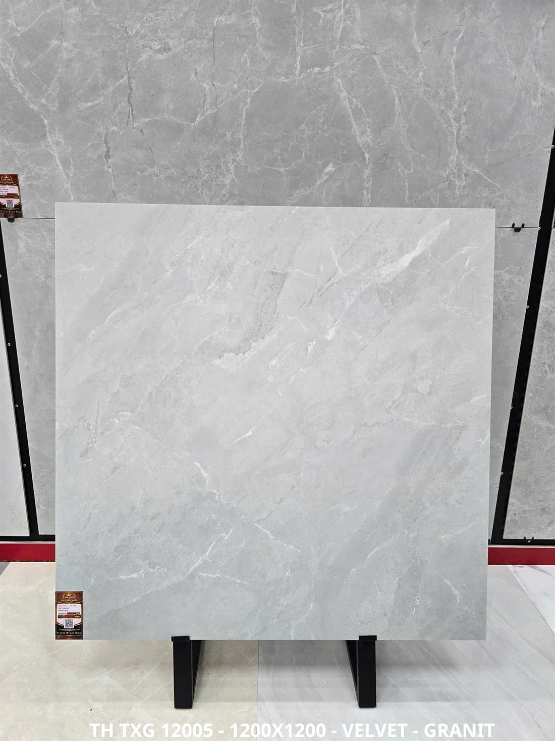 Gạch Ấn Độ TXG 12005 120x120