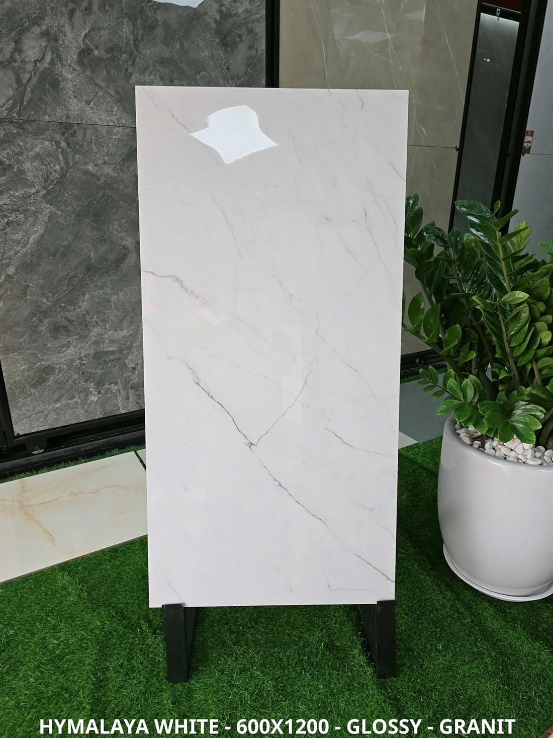 Gạch Ấn Độ Hymalaya White 60x120