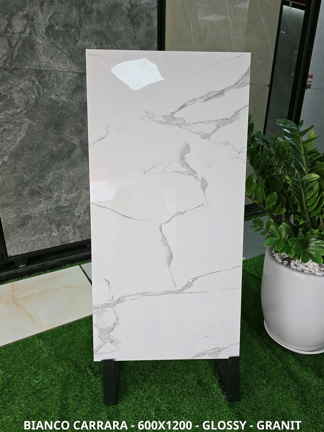 Gạch Ấn Độ Bianco Carrara 60x120