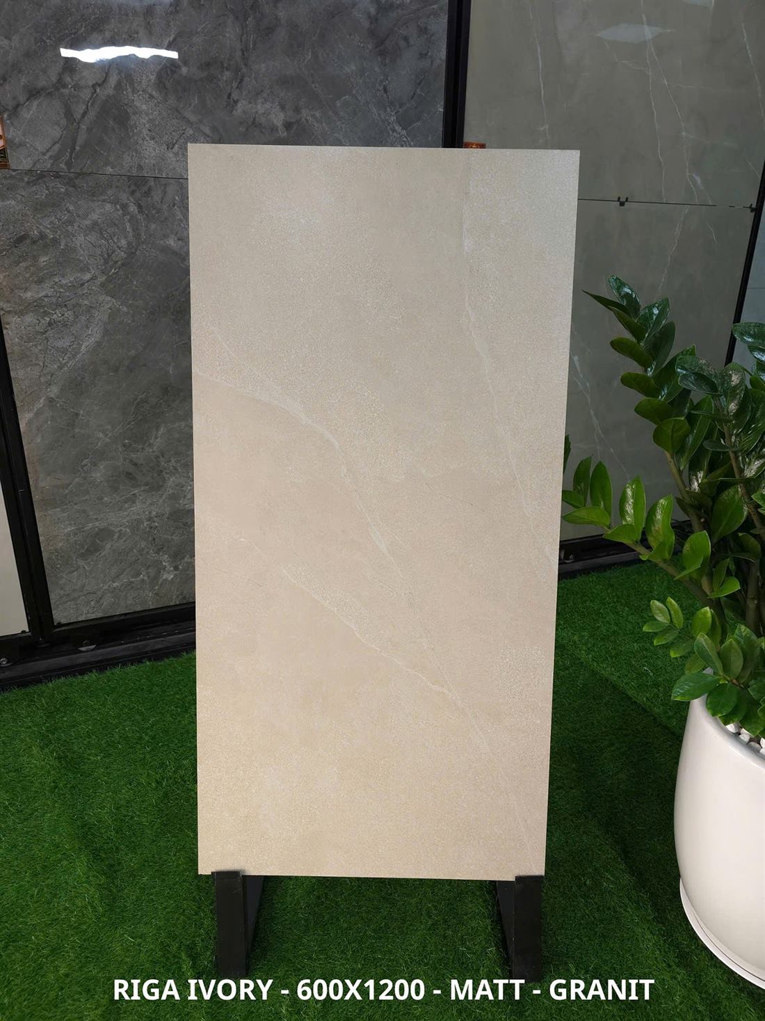 Gạch Ấn Độ Riga Ivory 60x120