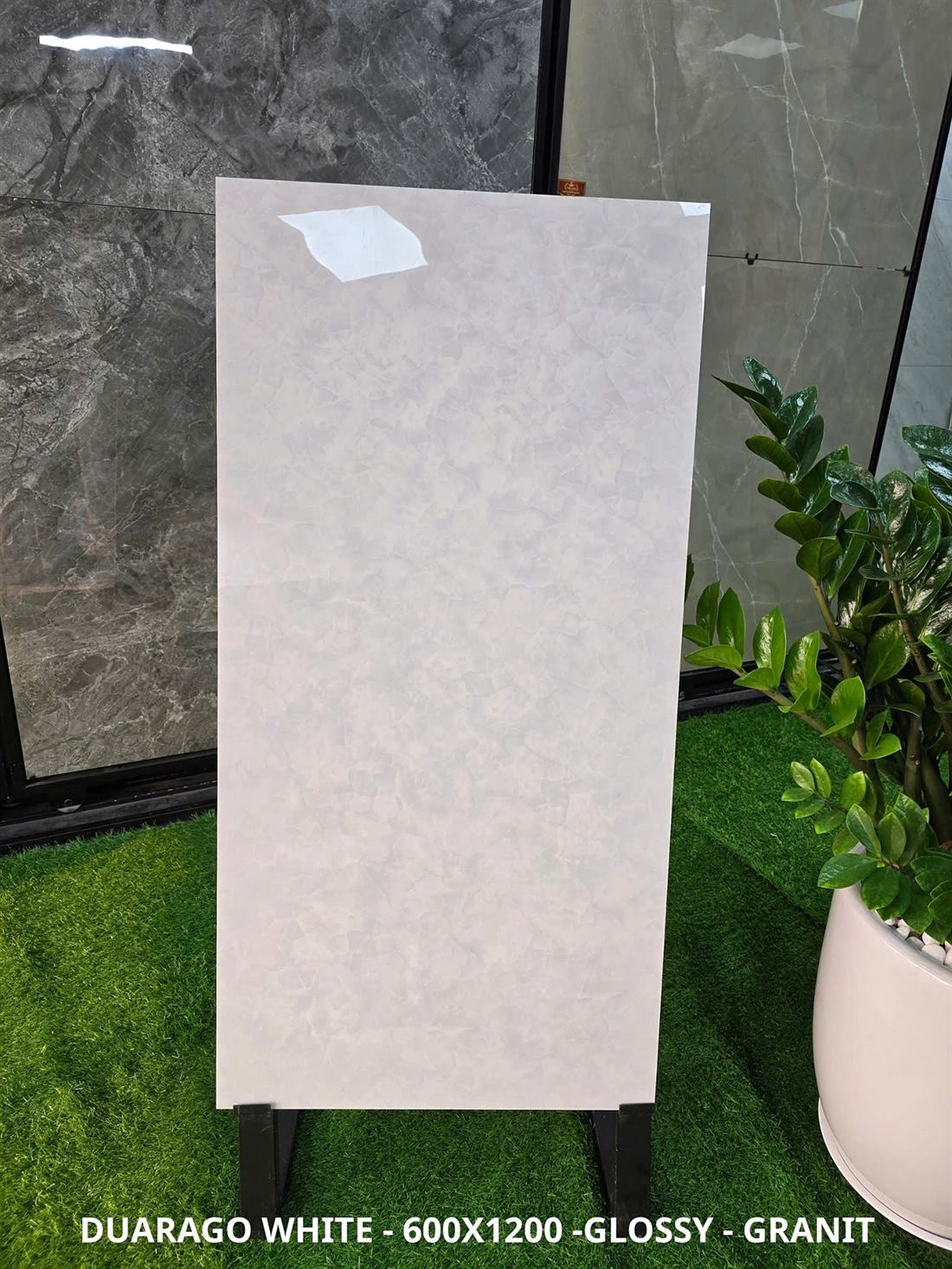 Gạch Ấn Độ Duarago White 60x120