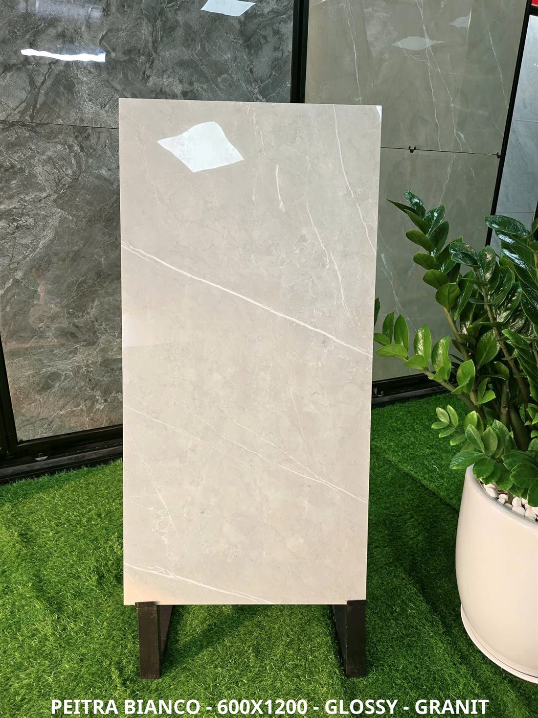 Gạch Ấn Độ Peitra Bianco 60x120