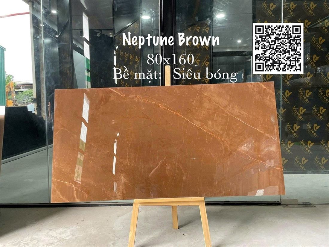 Gạch Ấn Độ Neptune Brown 80x160