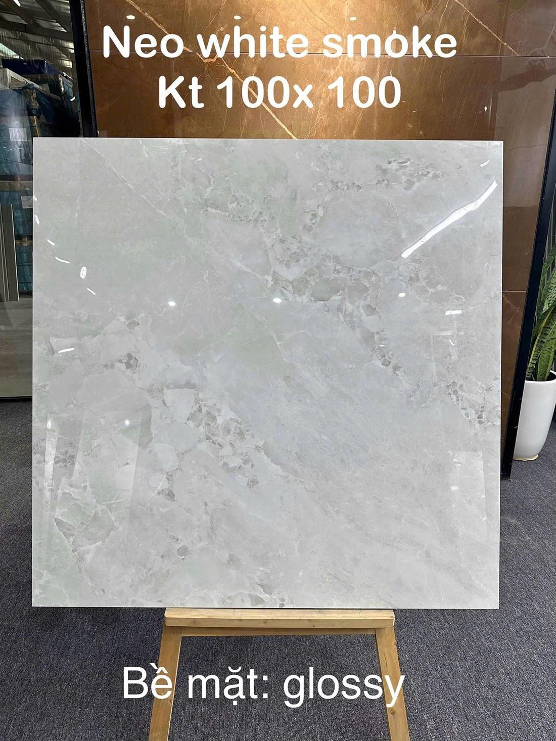 Gạch Ấn Độ Neo White Smoke 100x100