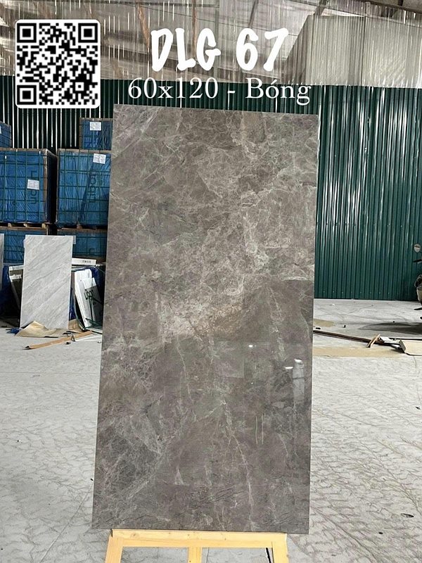 Gạch Ấn Độ DLG 67 60x120