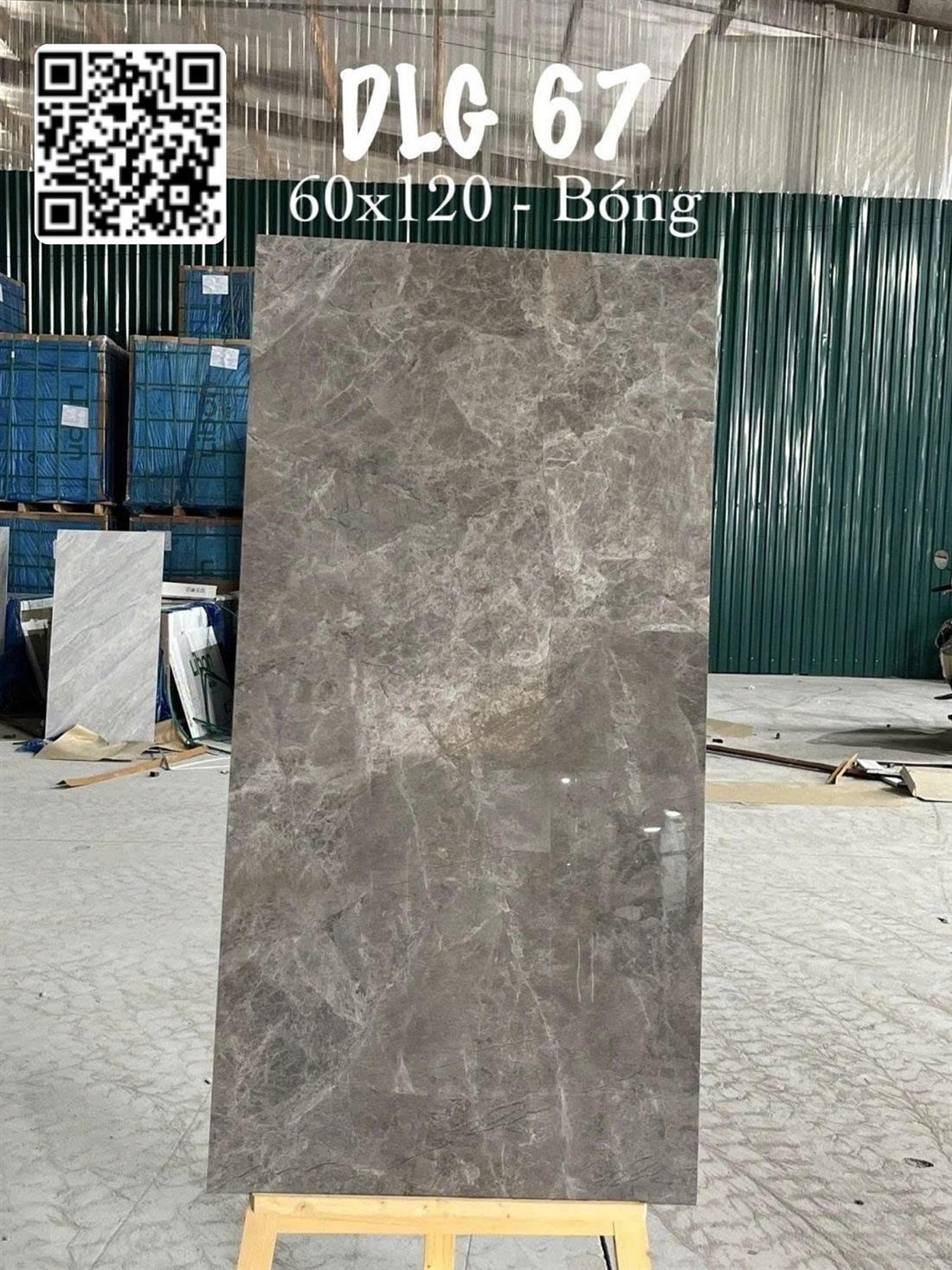 Gạch Ấn Độ DLG 67 60x120