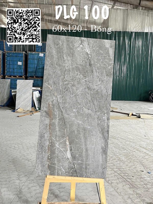 Gạch Ấn Độ DLG 100 60x120