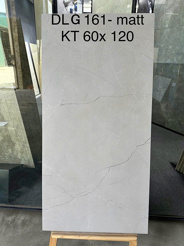 Gạch Ấn Độ DLG 161 60x120