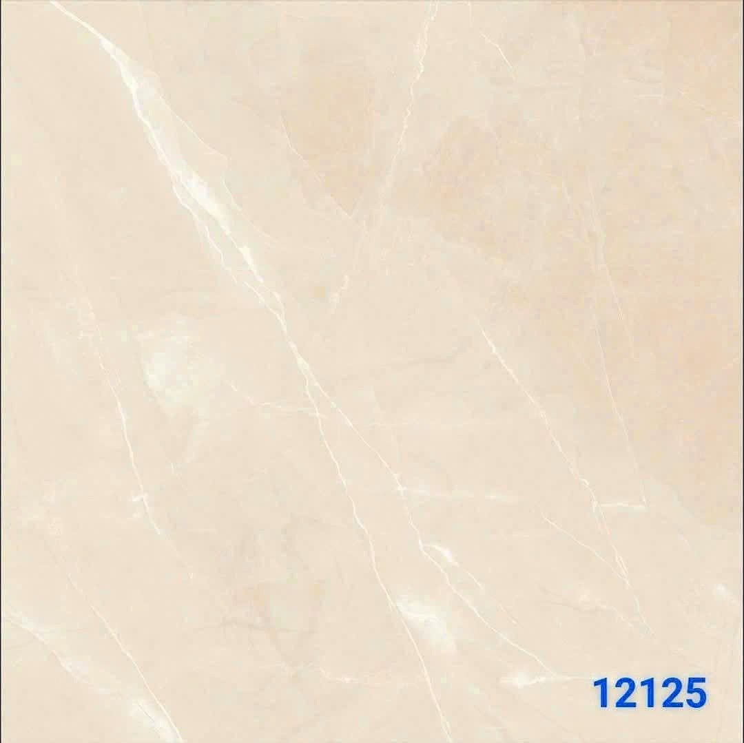 Gạch Ấn Độ 12125 120x120