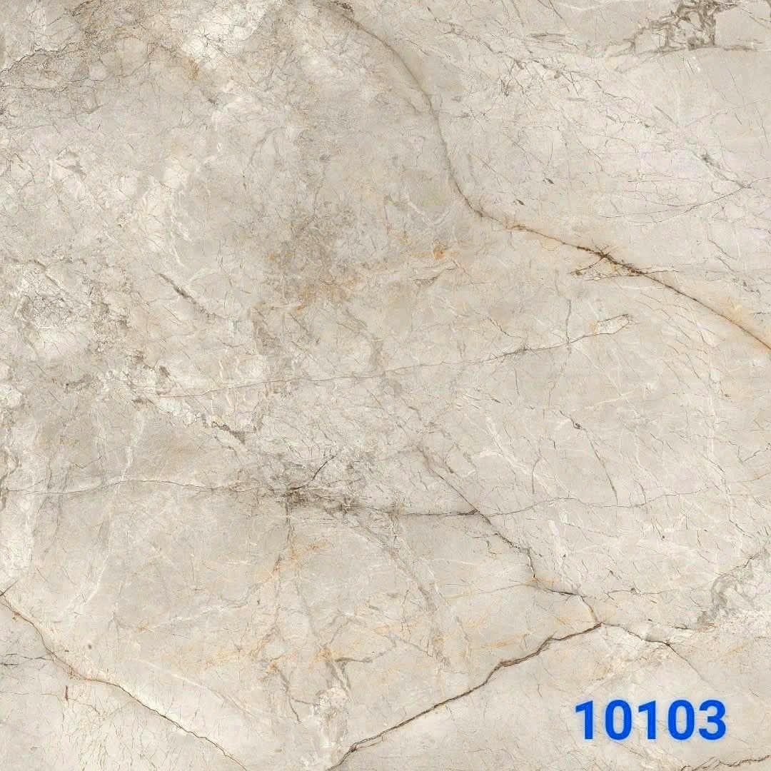 Gạch Ấn Độ 10103 100x100