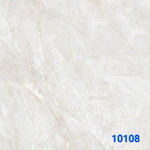 Gạch Ấn Độ 10108 100x100