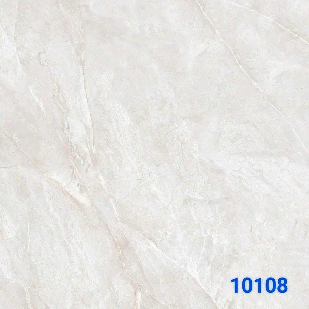 Gạch Ấn Độ 10108 100x100