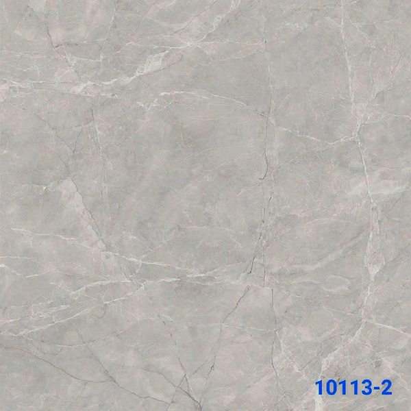 Gạch Ấn Độ 10113-2 100x100