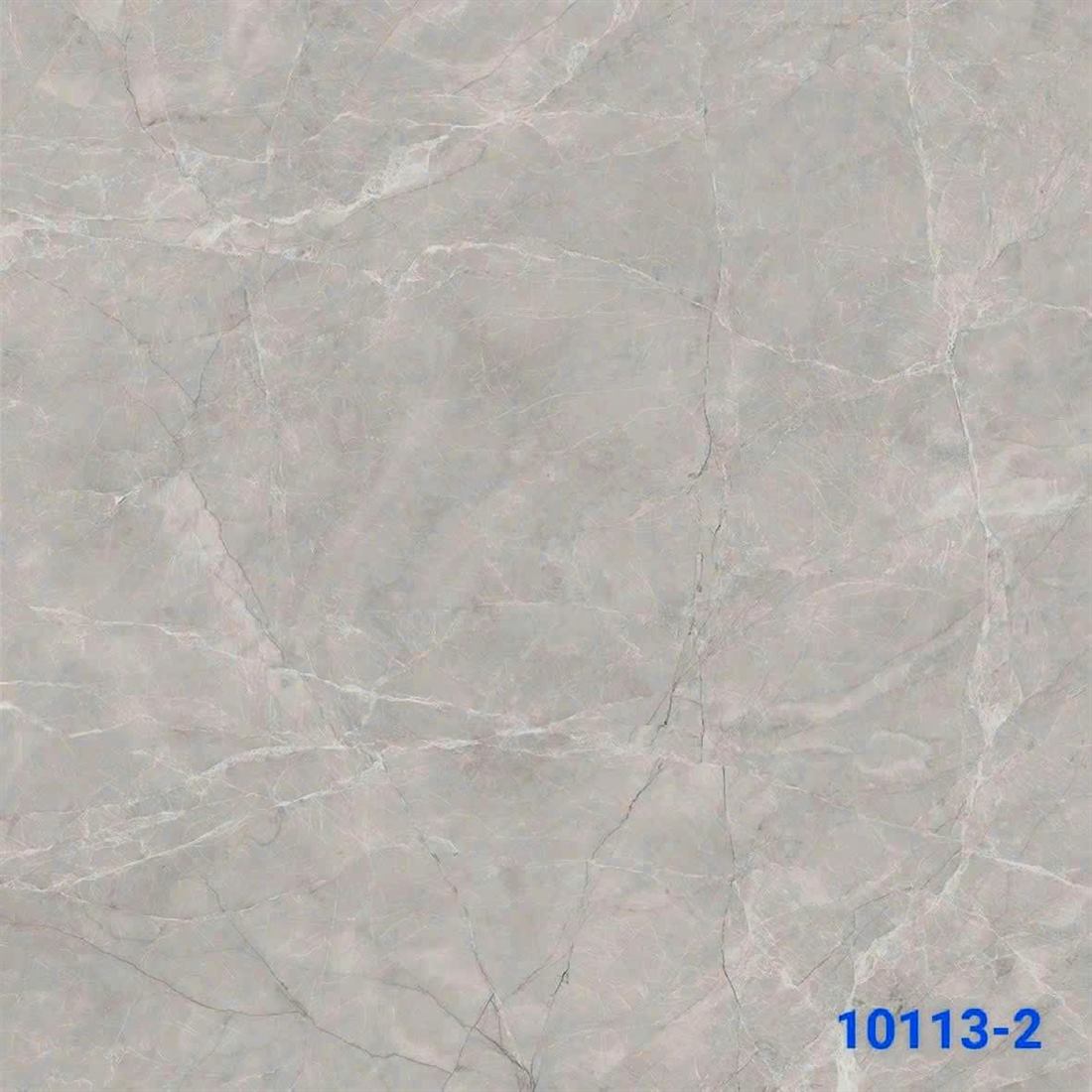 Gạch Ấn Độ 10113-2 100x100