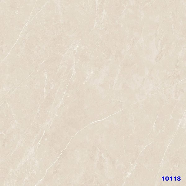 Gạch Ấn Độ 10118 100x100