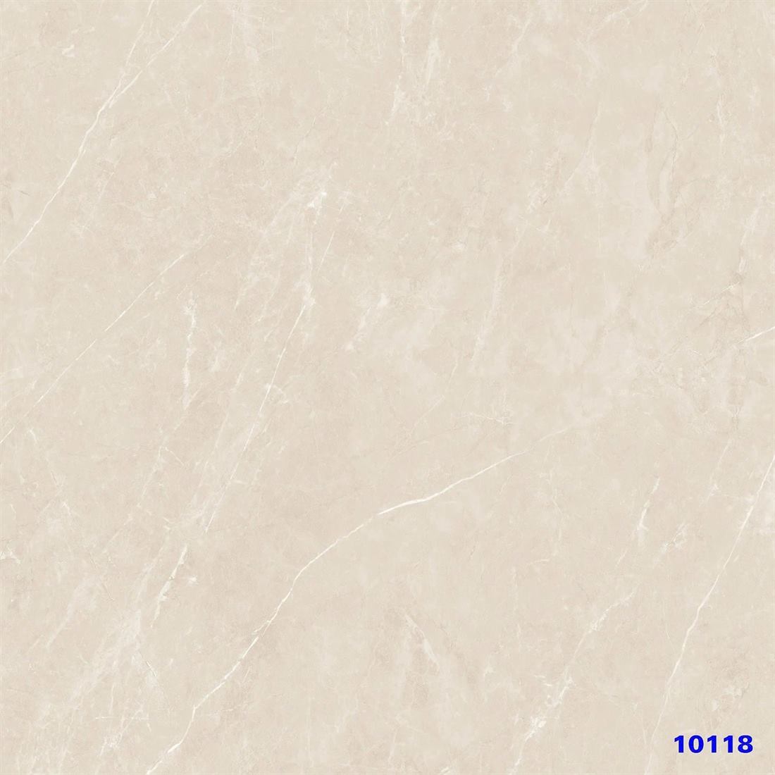 Gạch Ấn Độ 10118 100x100