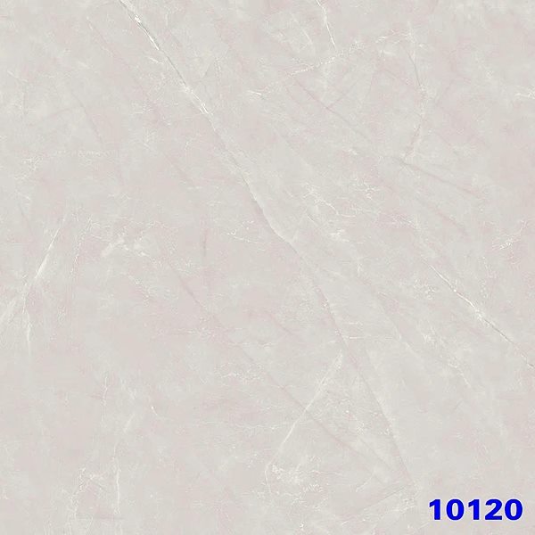 Gạch Ấn Độ 10120 100x100
