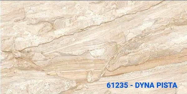 Gạch Ấn Độ Dyna Pista (61235) 60x120