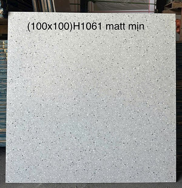 Gạch Trung Quốc H1061 100x100
