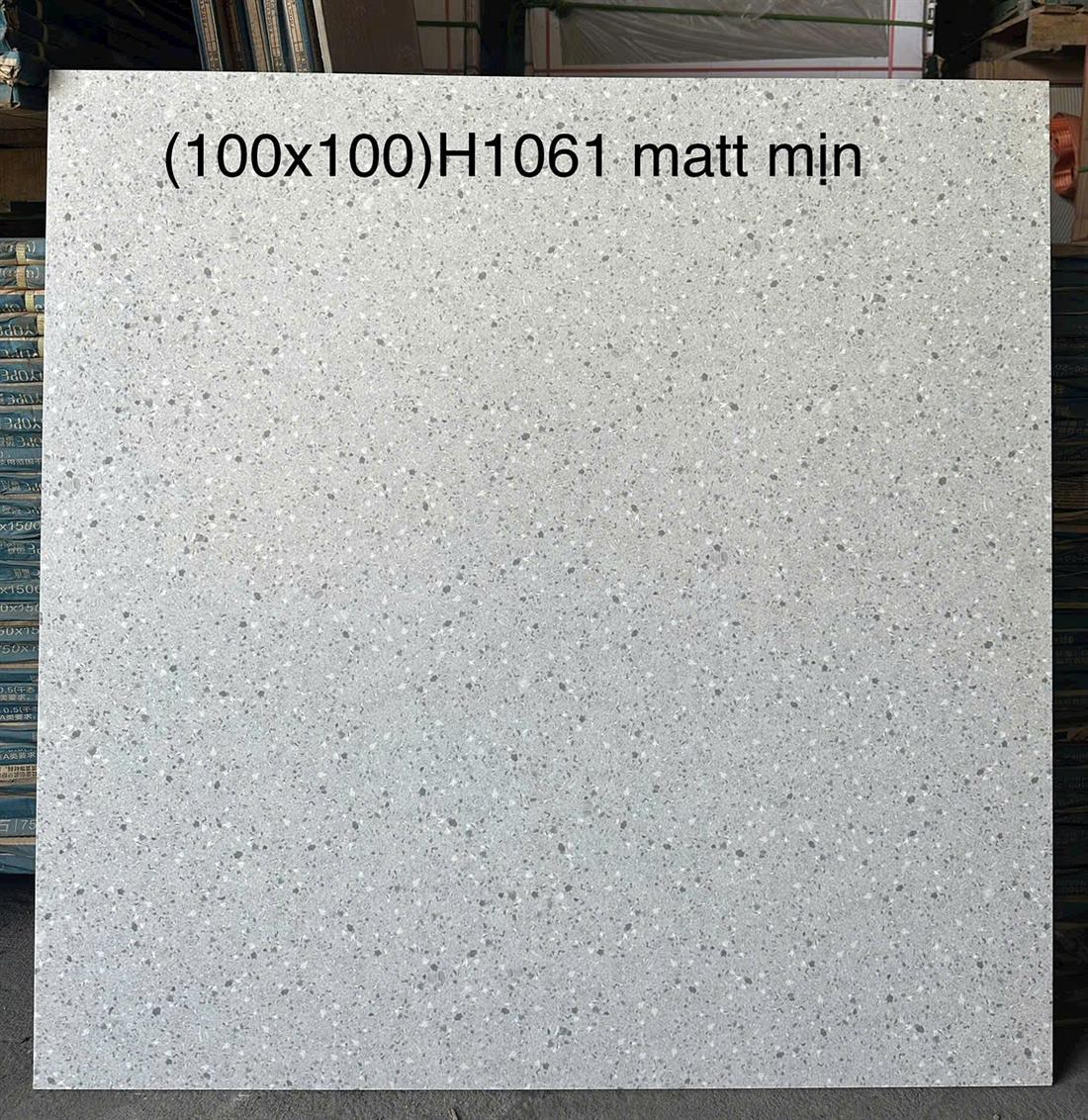 Gạch Trung Quốc H1061 100x100