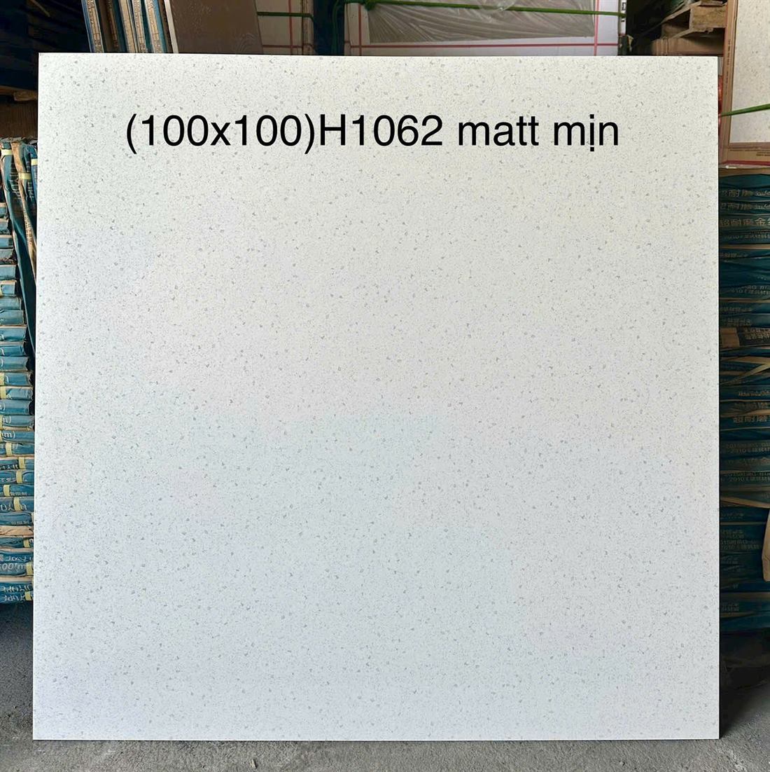 Gạch Trung Quốc H1062 100x100