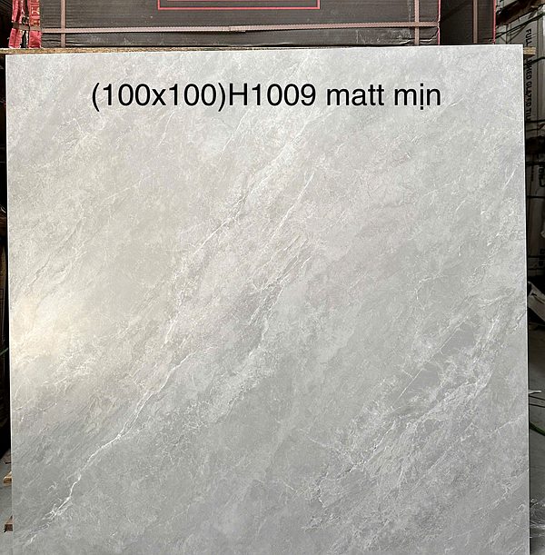 Gạch Trung Quốc H1009 100x100