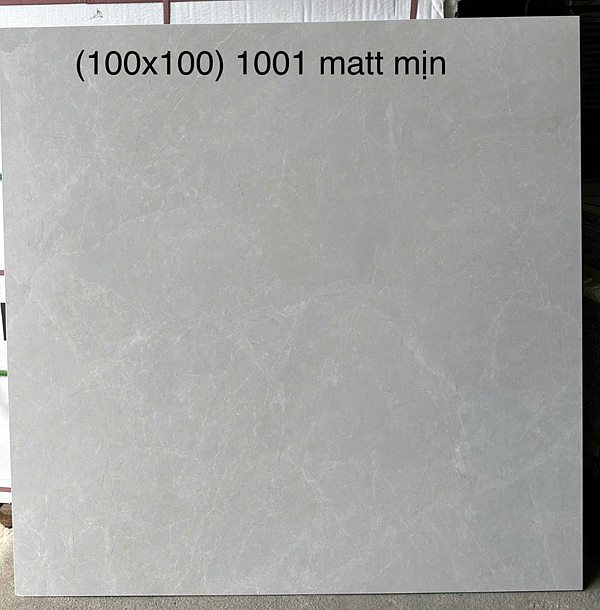 Gạch Trung Quốc 1001 100x100
