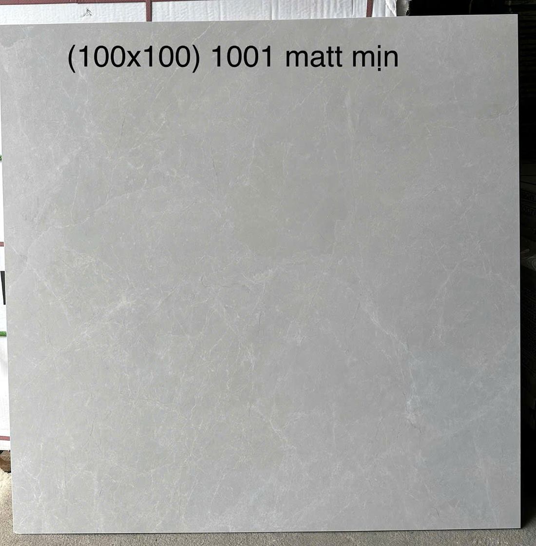Gạch Trung Quốc 1001 100x100