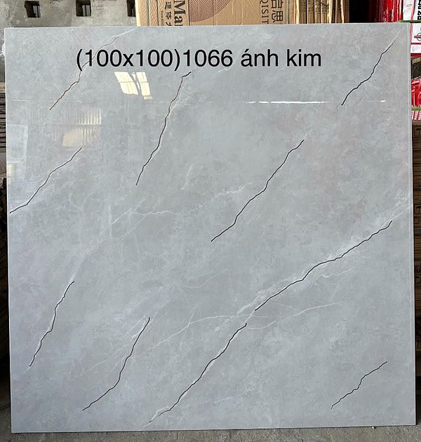 Gạch Trung Quốc 1066 ánh kim 100x100