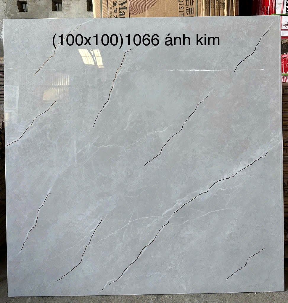 Gạch Trung Quốc 1066 ánh kim 100x100