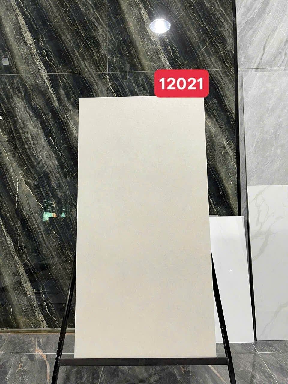 Gạch Trung Quốc 60x120 – mã QH92597