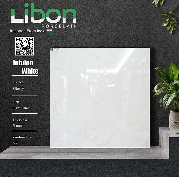 Gạch Ấn Độ Intuion White 80x80