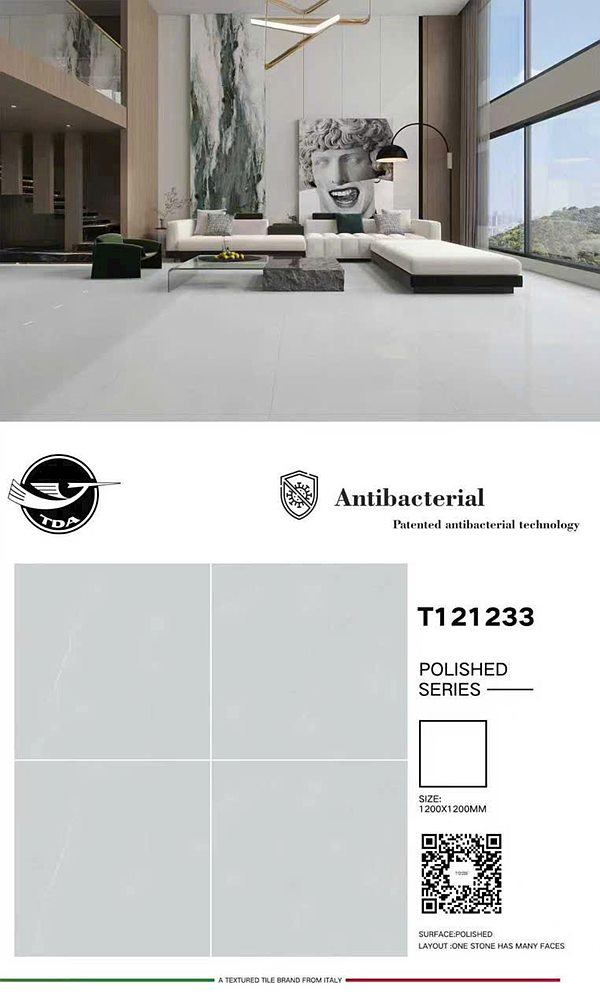 Gạch Trung Quốc T121233 120x120