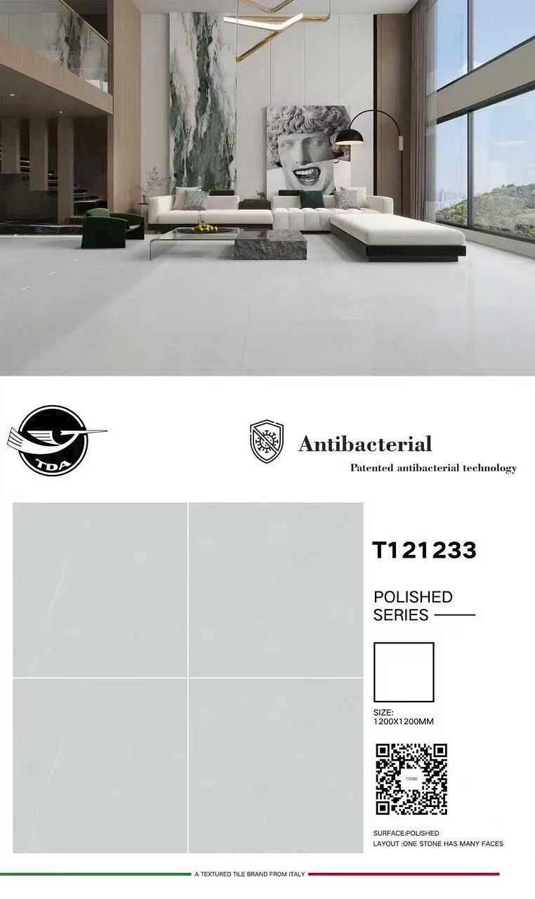 Gạch Trung Quốc T121233 120x120