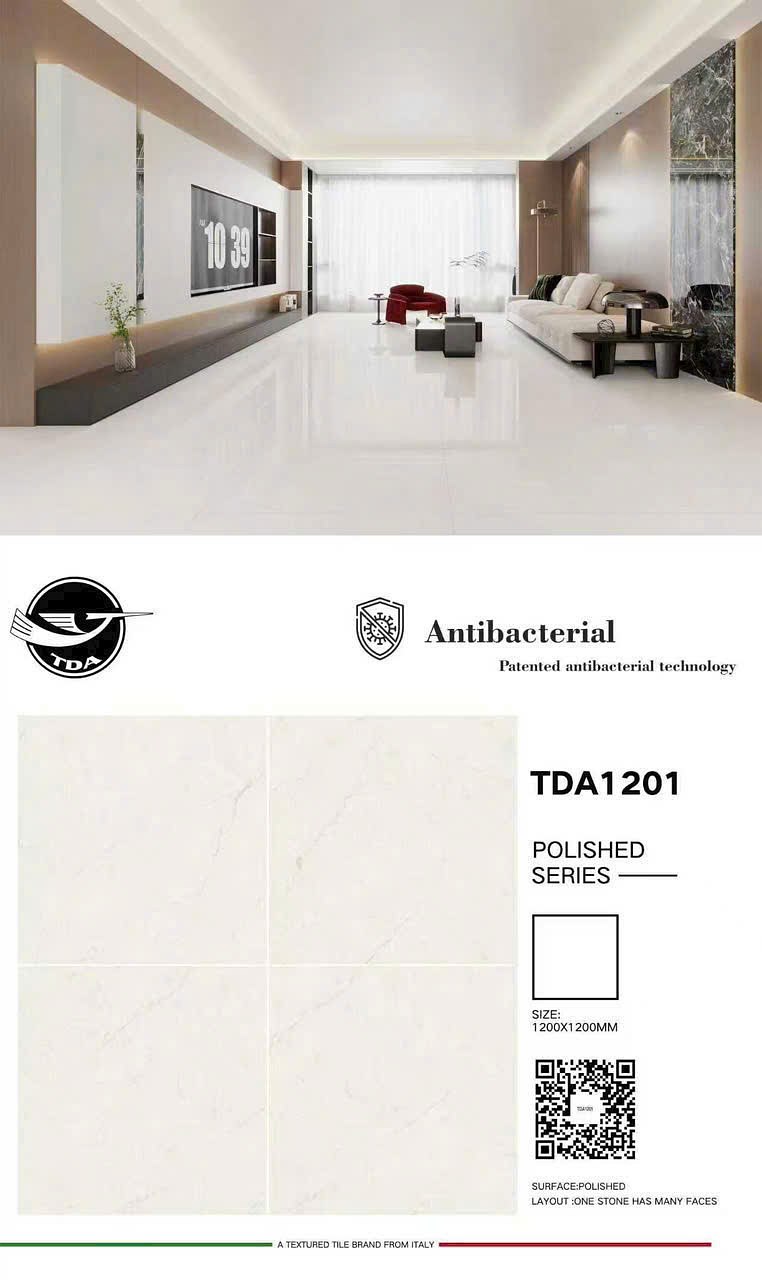 Gạch Trung Quốc TDA1201 120x120