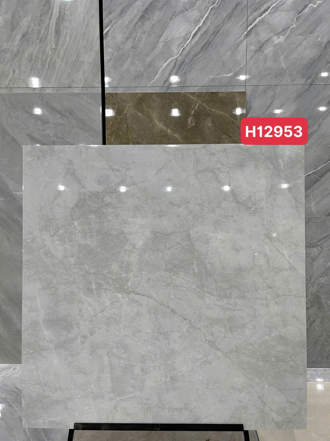 Gạch Trung Quốc H12953 120x120