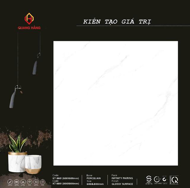 Gạch Thắng Cường KT 6601 60x60 (có khổ 80x80) men bóng