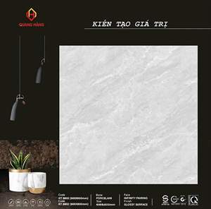Gạch Thắng Cường KT 6602 60x60 (có khổ 80x80) men bóng