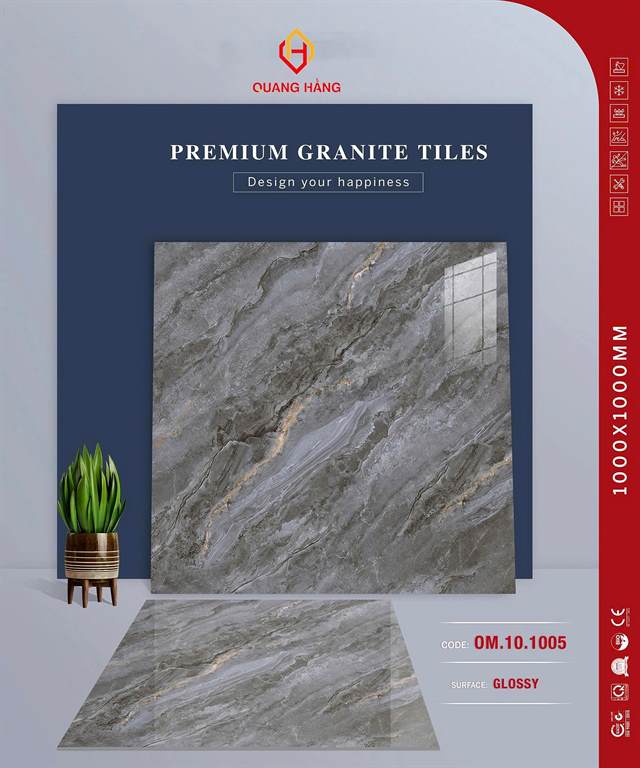 Gạch Thắng Cường 100x100 OM.10.1005 men bóng