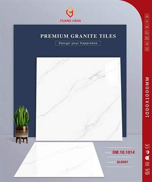 Gạch Thắng Cường 100x100 OM.10.1014 men bóng