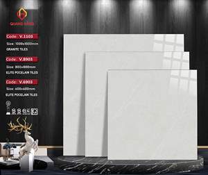 Gạch Thắng Cường V.1103 100x100 – đồng mẫu V.8903 (80x80), V.6903 (60x60)
