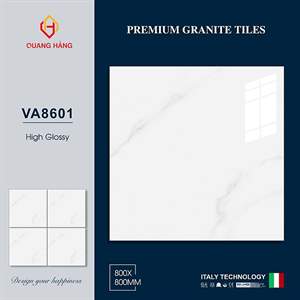 Gạch Thắng Cường 80x80 VA8601 men bóng