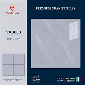 Gạch Thắng Cường 80x80 VA8603 men bóng