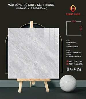 Gạch Thắng Cường 8803 80x80 – đồng mẫu 6603 (60x60) men bóng