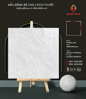 Gạch Thắng Cường 8804 80x80 – đồng mẫu 6604 (60x60) men bóng