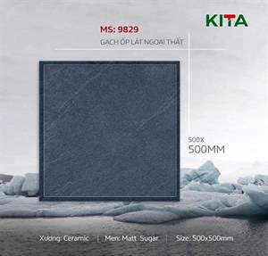 Gạch sân vườn Việt Nam 50x50 – mã QH38848