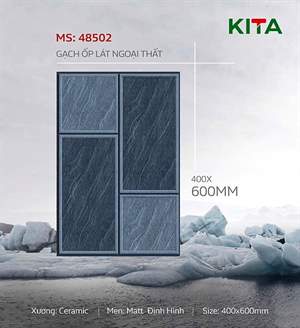 Gạch sân vườn Việt Nam 40x60 – mã QH1-892