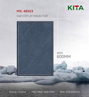 Gạch sân vườn Việt Nam 40x60 – mã QH2-900