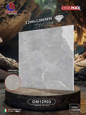 Gạch Việt Nam 120x120 – mã QH65483